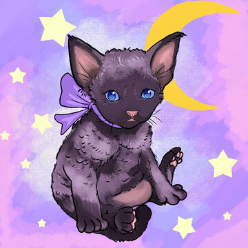 貓咪德萊文貓卡通貓插畫貓