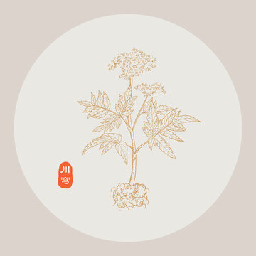 川穹線描