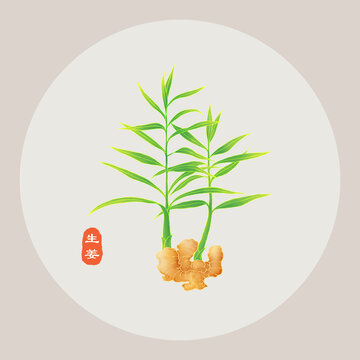 生姜