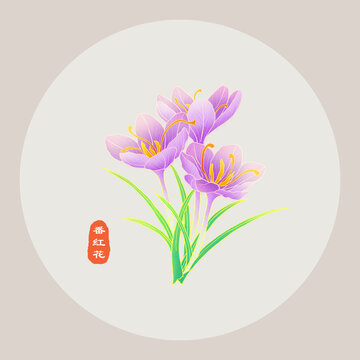 番紅花