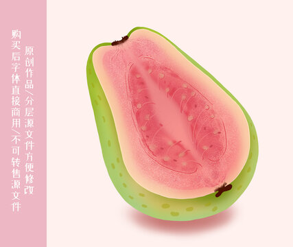 紅心芭樂插畫