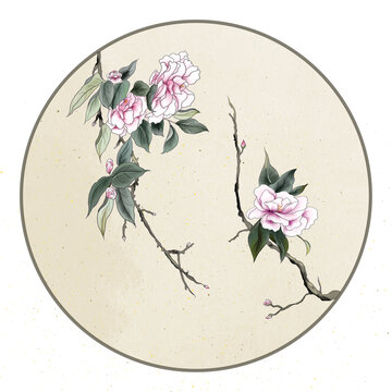 山茶花手繪中國(guó)畫工筆畫