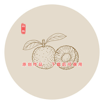 線描楊梅