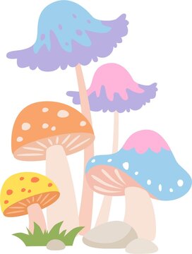 矢量蘑菇菌類插畫(huà)
