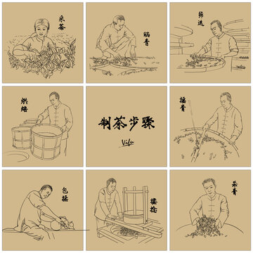 制茶工藝步驟