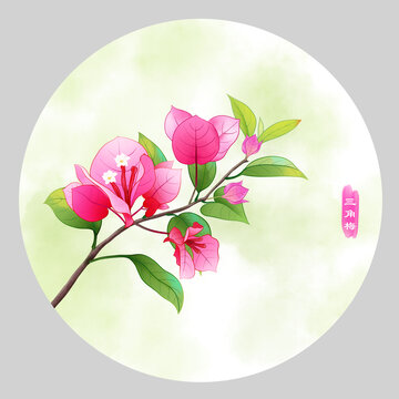三角梅