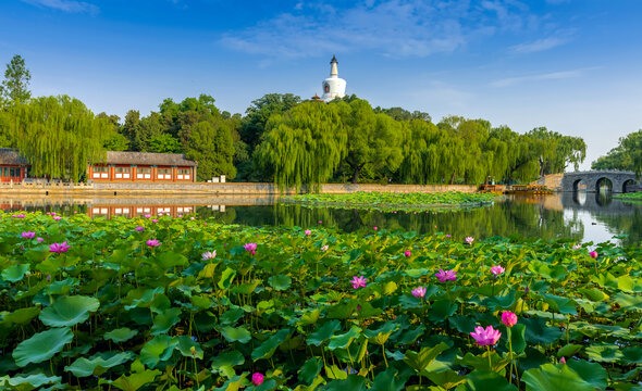 北海公園白塔