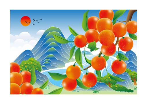 橙子插畫
