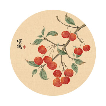 櫻桃插畫