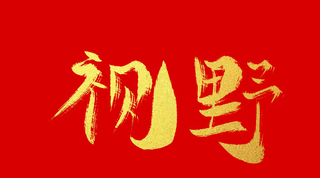 視野
