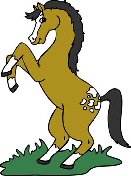 卡通動物馬