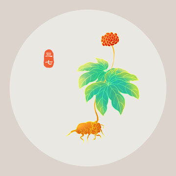 三七