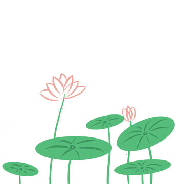 荷花荷葉