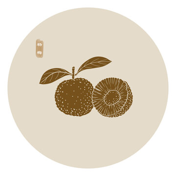 線描楊梅