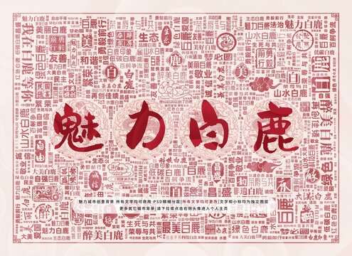 魅力白鹿