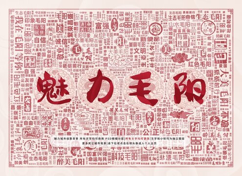 魅力毛陽