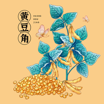 黃豆插畫