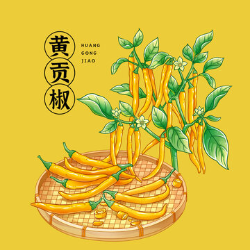 黃辣椒插畫