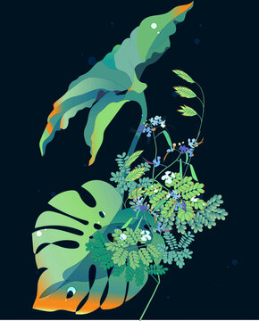 亞馬遜熱帶雨林植物花卉