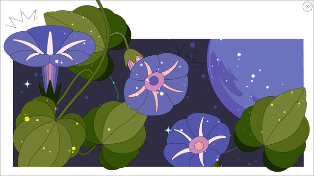 夜空的紫色牽牛花物和星球