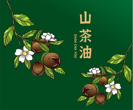 山茶油包裝插畫