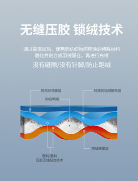 PSD分層充絨剖析圖
