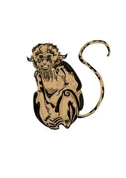 生肖猴黑白插畫