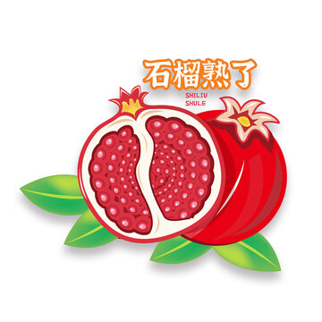 石榴插畫
