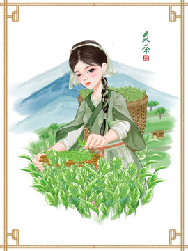 采茶女