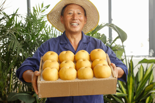 秋月梨