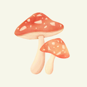 卡通蘑菇