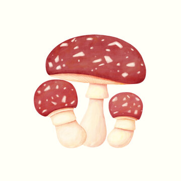 卡通蘑菇