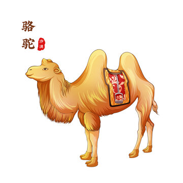駱駝