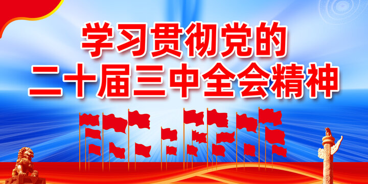 學(xué)習(xí)貫徹二十屆三中全會(huì)精神