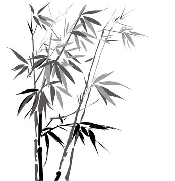 矢量水墨竹子