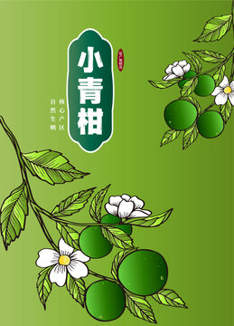 小青柑包裝