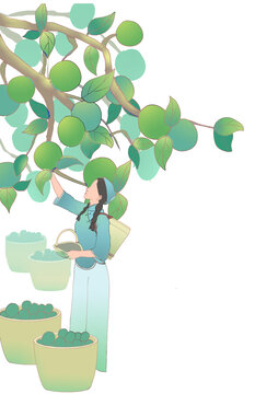 青梅