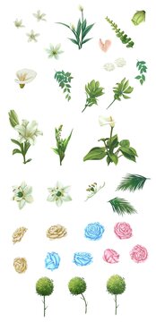 婚慶手捧花花環(huán)元素花卉水草植物