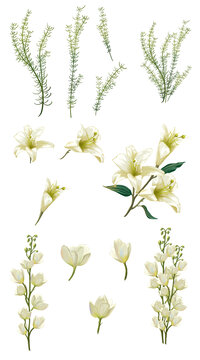 手捧花花環(huán)水仙花百花等植物素材