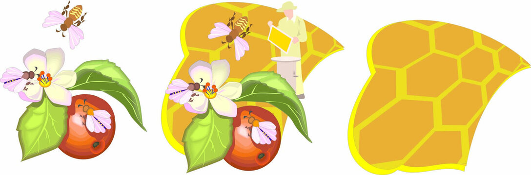 數(shù)碼印花