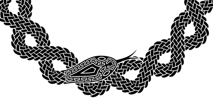蛇纏繞設(shè)計插圖
