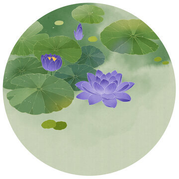 睡蓮插畫