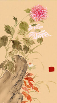 國畫插畫秋菊包裝插畫