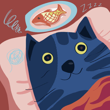 貓的預(yù)想夢
