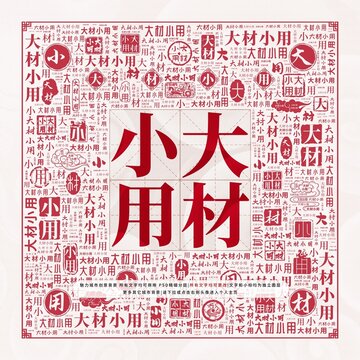 大材小用