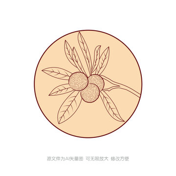 楊梅