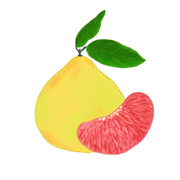 柚子插畫(huà)紅心柚子水果手繪包裝