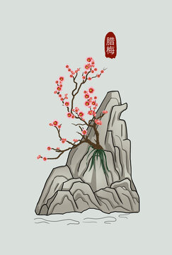 梅蘭竹菊四君子之梅
