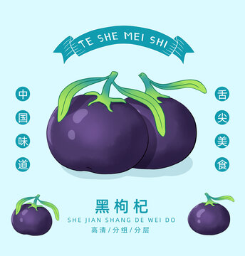 黑枸杞插畫手繪