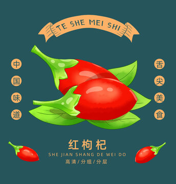 枸杞插畫手繪